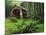 Yachats River Covered Bridge in Siuslaw National Forest, North Fork, Oregon, USA-Steve Terrill-Mounted Photographic Print