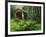 Yachats River Covered Bridge in Siuslaw National Forest, North Fork, Oregon, USA-Steve Terrill-Framed Photographic Print