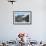 Yacht Anchored under a Glacier, Magdalenefjord, Svalbard, Norway, Scandinavia, Europe-David Lomax-Framed Photographic Print displayed on a wall