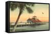 Yacht Club, Daytona, Florida-null-Framed Stretched Canvas