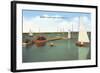 Yacht Club, Peoria, Illinois-null-Framed Art Print