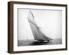 Yacht Columbia Sailing-Bettmann-Framed Photographic Print