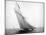 Yacht Columbia Sailing-Bettmann-Mounted Photographic Print