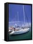 Yacht Harbor, Peloponnesos, Greece-Walter Bibikow-Framed Stretched Canvas