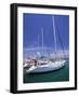 Yacht Harbor, Peloponnesos, Greece-Walter Bibikow-Framed Photographic Print