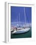 Yacht Harbor, Peloponnesos, Greece-Walter Bibikow-Framed Photographic Print