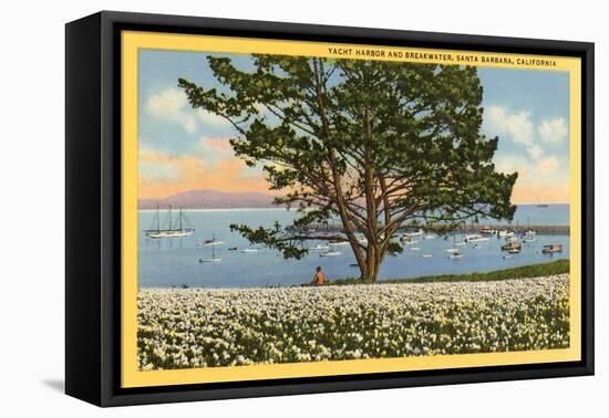 Yacht Harbor, Santa Barbara, California-null-Framed Stretched Canvas