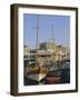 Yacht Marina and Castle, Marmaris, Aegean Coast, Anatolia, Turkey-Christopher Rennie-Framed Photographic Print