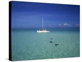 Yacht Moored in the North Sound, with Stringrays Visible Beneath the Water, Cayman Islands-Tomlinson Ruth-Stretched Canvas