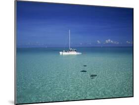 Yacht Moored in the North Sound, with Stringrays Visible Beneath the Water, Cayman Islands-Tomlinson Ruth-Mounted Photographic Print