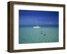 Yacht Moored in the North Sound, with Stringrays Visible Beneath the Water, Cayman Islands-Tomlinson Ruth-Framed Photographic Print