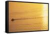 Yacht on Elliott Bay at Sunset-Paul Souders-Framed Stretched Canvas