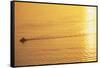 Yacht on Elliott Bay at Sunset-Paul Souders-Framed Stretched Canvas