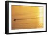 Yacht on Elliott Bay at Sunset-Paul Souders-Framed Photographic Print