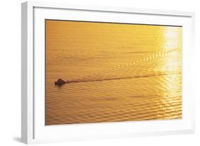 Yacht on Elliott Bay at Sunset-Paul Souders-Framed Photographic Print