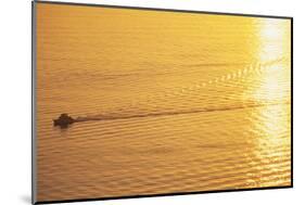 Yacht on Elliott Bay at Sunset-Paul Souders-Mounted Photographic Print