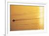 Yacht on Elliott Bay at Sunset-Paul Souders-Framed Photographic Print