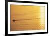 Yacht on Elliott Bay at Sunset-Paul Souders-Framed Photographic Print