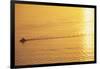 Yacht on Elliott Bay at Sunset-Paul Souders-Framed Photographic Print