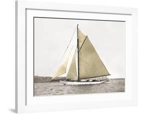 Yacht on Sydney Harbour-null-Framed Art Print