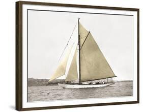 Yacht on Sydney Harbour-null-Framed Art Print