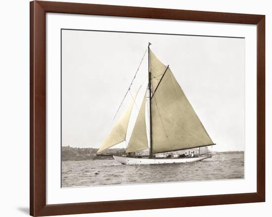 Yacht on Sydney Harbour-null-Framed Art Print