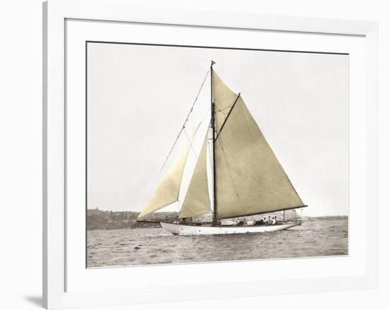 Yacht on Sydney Harbour-null-Framed Art Print