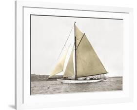 Yacht on Sydney Harbour-null-Framed Art Print