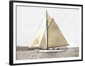 Yacht on Sydney Harbour-null-Framed Art Print