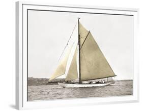 Yacht on Sydney Harbour-null-Framed Art Print