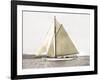 Yacht on Sydney Harbour-null-Framed Art Print