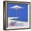 Yacht Passing the Terrace, 1999-John Miller-Framed Giclee Print