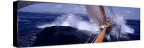 Yacht Race, Caribbean-null-Stretched Canvas