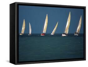 Yacht Race Florida, USA-null-Framed Stretched Canvas