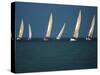 Yacht Race Florida, USA-null-Stretched Canvas