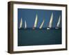 Yacht Race Florida, USA-null-Framed Photographic Print