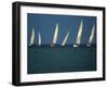 Yacht Race Florida, USA-null-Framed Photographic Print