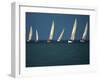 Yacht Race Florida, USA-null-Framed Photographic Print