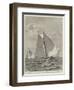 Yacht-Race for the America Cup-null-Framed Giclee Print