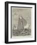 Yacht-Race for the America Cup-null-Framed Giclee Print