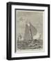 Yacht-Race for the America Cup-null-Framed Premium Giclee Print