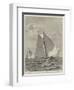 Yacht-Race for the America Cup-null-Framed Premium Giclee Print