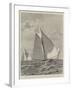 Yacht-Race for the America Cup-null-Framed Giclee Print