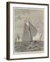 Yacht-Race for the America Cup-null-Framed Giclee Print