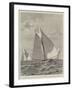 Yacht-Race for the America Cup-null-Framed Giclee Print
