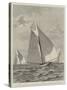 Yacht-Race for the America Cup-null-Stretched Canvas