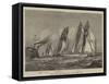 Yacht Race for the Queen's Cup at New York-null-Framed Stretched Canvas