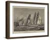 Yacht Race for the Queen's Cup at New York-null-Framed Giclee Print