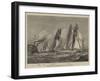 Yacht Race for the Queen's Cup at New York-null-Framed Giclee Print