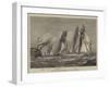 Yacht Race for the Queen's Cup at New York-null-Framed Giclee Print